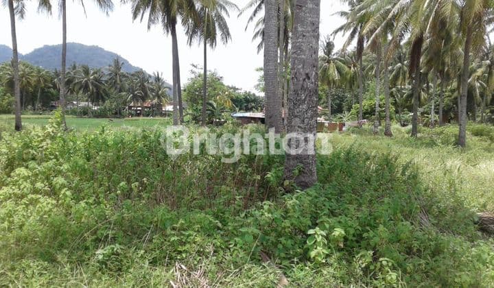 Tanah Lokasi Wisata Pelabuhan Ratu Sukabumi cocok buat villa tempat wisata