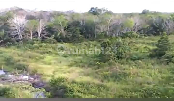 Tanah Strategis 14,7 Hektar di Kalimantan Barat
