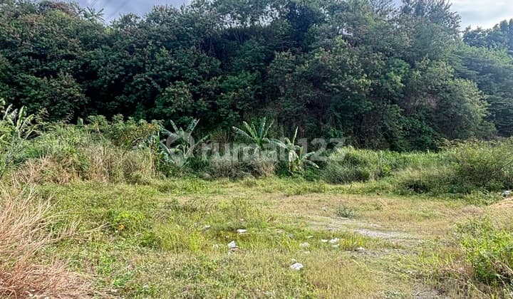 For Sale: Land Plots in the Candi Industrial Area, Semarang