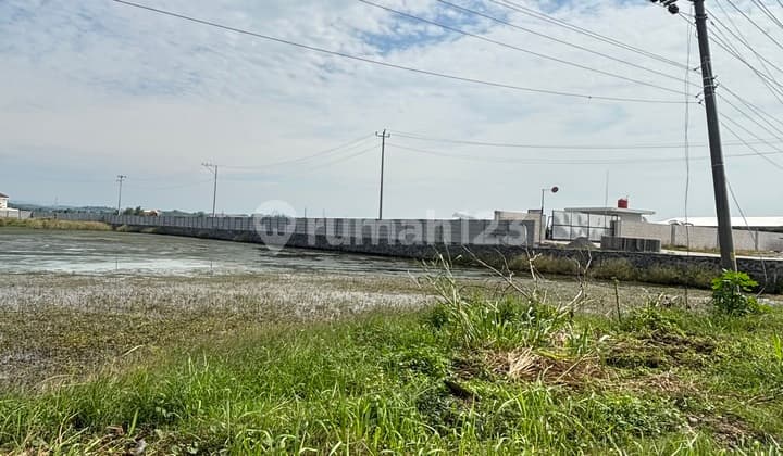 Tanah Lingkungan Industri Di Jl. Pantura Semarang Kendal
