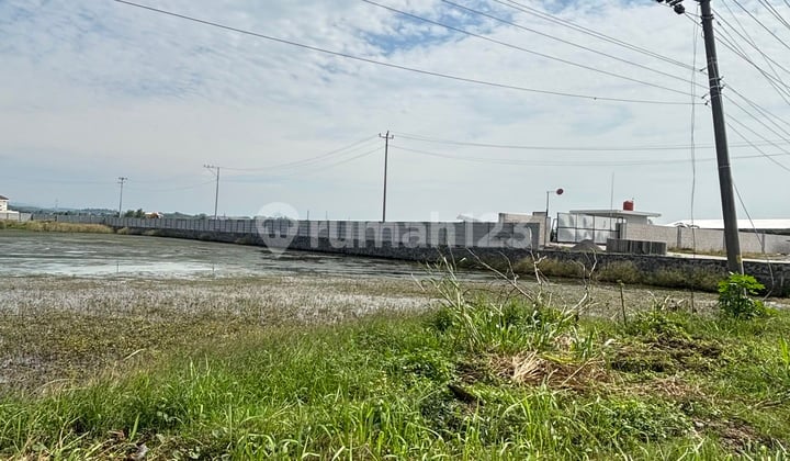 Tanah Lingkungan Industri Di Jl. Pantura Semarang Kendal