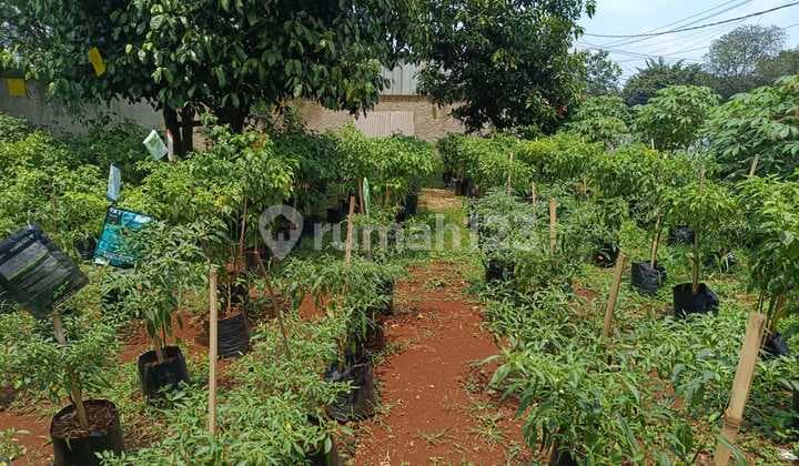 Miliki Tanah Bagus Rata dan Subur Dekat Pemukiman Warga, Pinggir Jalan, Dapat untuk Investasi Dll.