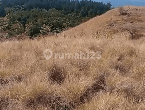 Turun Harga..!!! Lahan Luas di Labuan Bajo