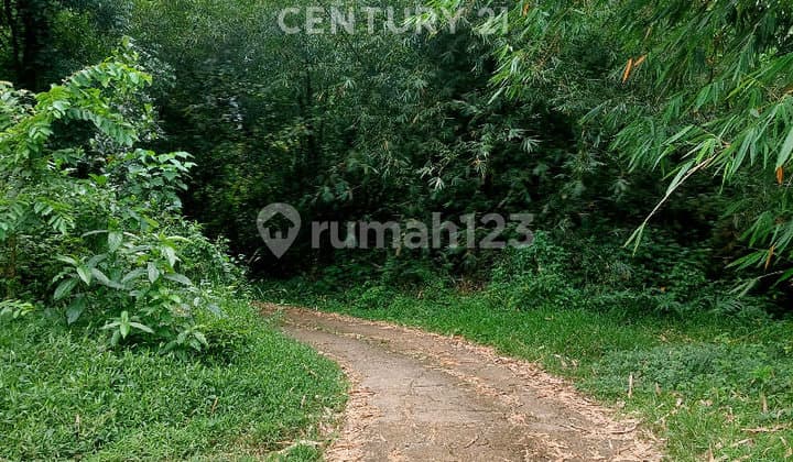 Dijual Cepat : Tanah 16.537m² Di Curug Cigentis Loji Karawang