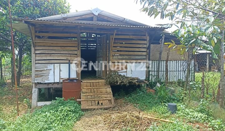 Tanah Kebon di Kampung Cibitung Tengah Bogor