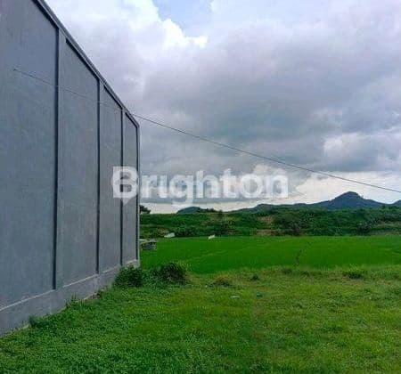 Tanah Dekat Stadion Kanjuruhan Kepanjen Malang Tanah di Kepanjen 152.0 SHM