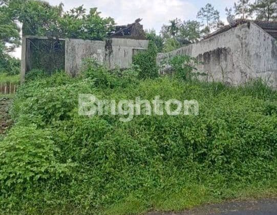 Tanah Harga Di Bawah Pasar Dekat Tol Di Buring Malang