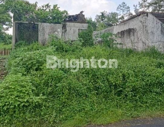 Tanah Harga Di Bawah Pasar Dekat Tol Di Buring Malang