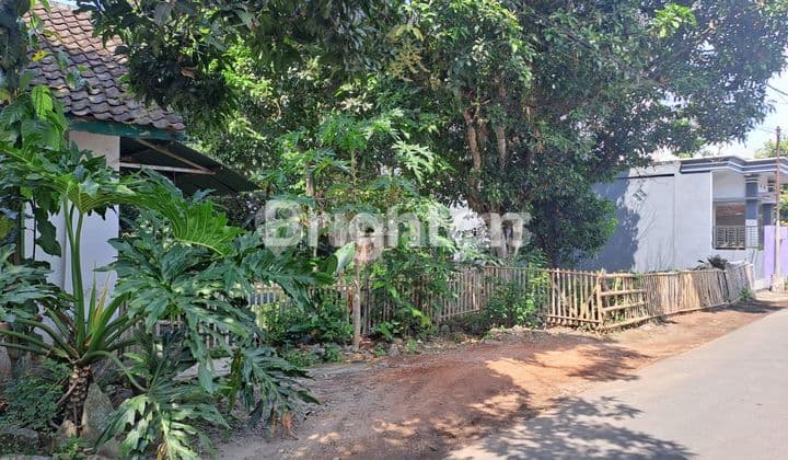 RUMAH HITUNG TANAH di WLINGI