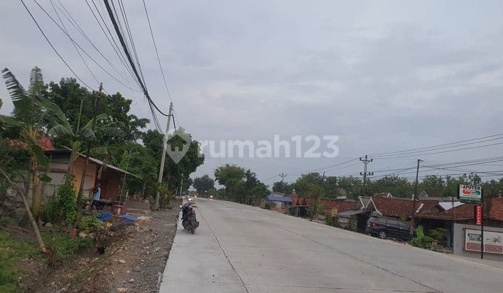 Tanah di Sambirejo Tawangharjo , Grobogan Ag 5789