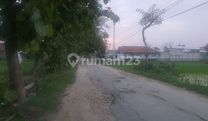 Tanah di Ngantru Tawangharjo , Purwodadi Ag 5640