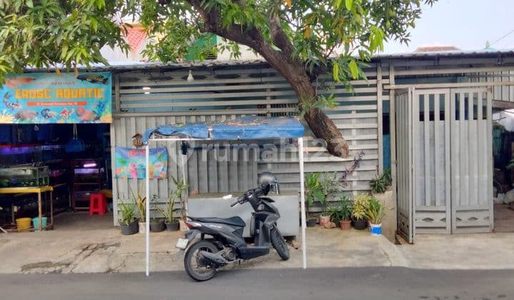 Rumah Bagus Full Bangunan Semarang Utara (BPAR)