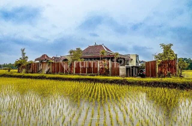 Dijual Villa Di Desa Wisata Kasongan