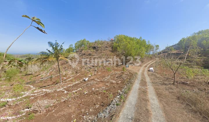 Dijual Tanah Luas 32.420 Meter Persegi Lokasi Dekat Pantai Butuh, Saptosari, Gunung Kidul