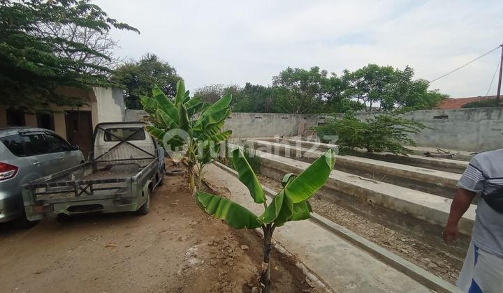 Jual Tanah Super Strategis Di Babelan Bekasi Cocok untuk Bangun Perumahan