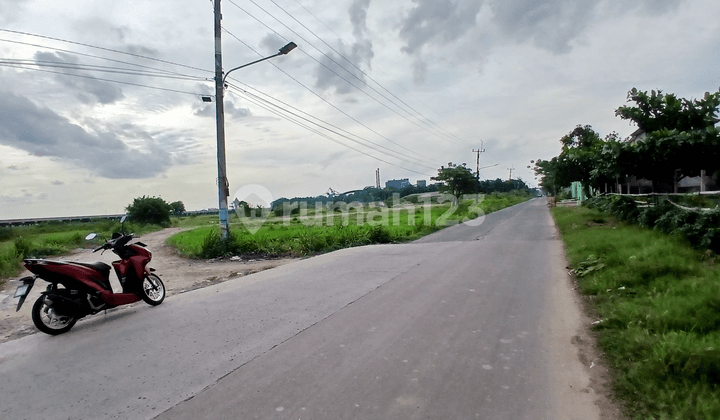 Dijual Lahan Babelan 1.3 Juta Nego