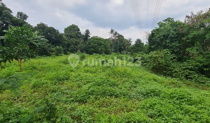 Disewa Tanah 1 Hektar Gandul Cinere Depok Dekat Tol Brigif Dan Cinere Mall