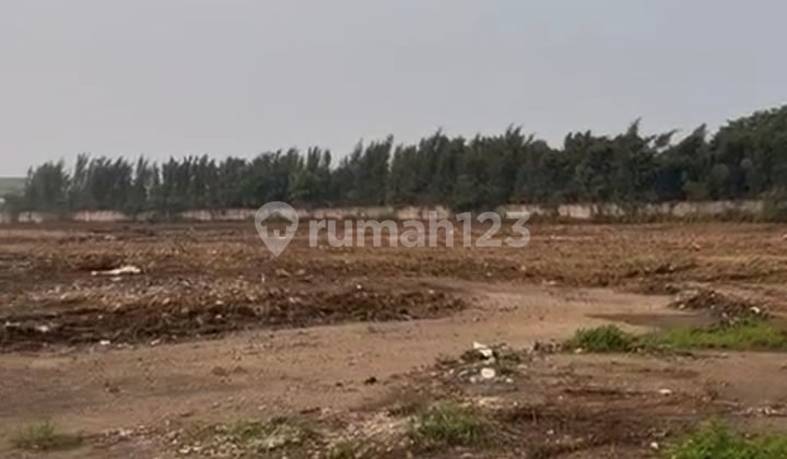 Dijual Tanah 7 Hektar Cikupa Tangerang