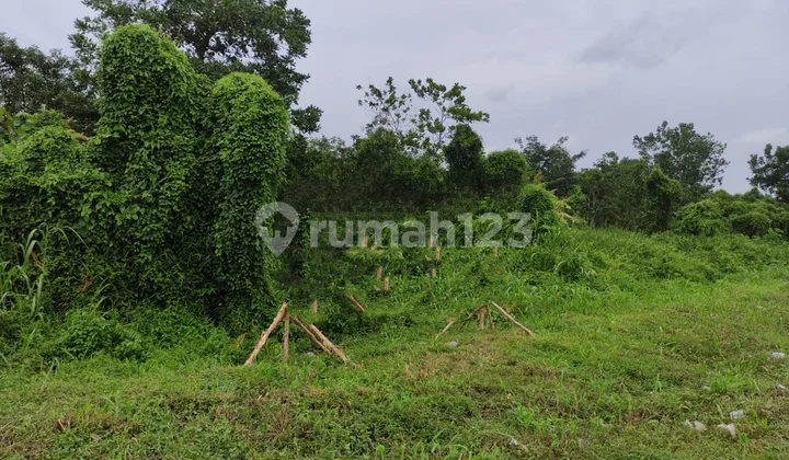 For Sale, 13.5 Hectares of Land in Palembang, 500,000 Rupiah per Meter For Sale, 13.5 Hectares of Land in Palembang, 500,000 Rupiah per Meter