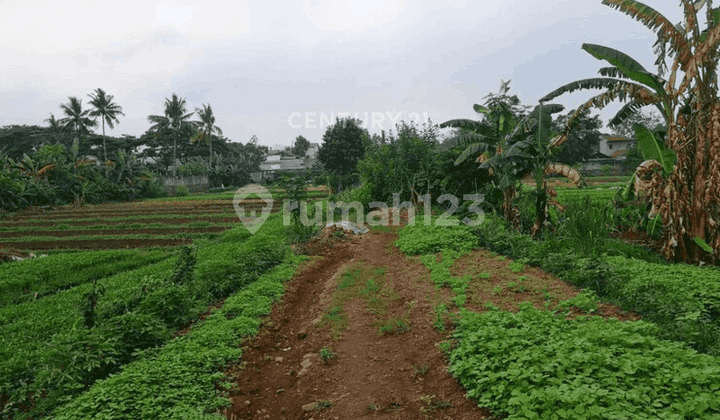 Dijual Tanah Komersil di Bintaro Sektor 9