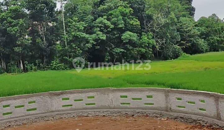 Tanah Luas 1007 Meter Pinggir Jalan Parung Panjang ke Podomoro Tenjo Tangerang