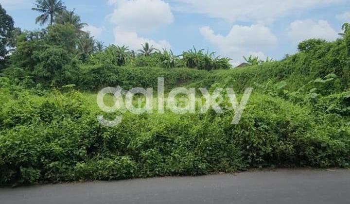 Land 13.16 M2 Area Gunung Sari Peliatan, Ubud, Bali
