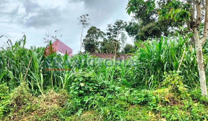 Tanah Dijual di Batu Cocok untuk Villa atau Cafe di Junrejo