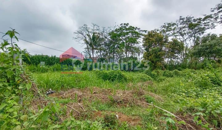 Tanah Kavling Area Merjosari Dekat Uin, Unisma, Thursina Islamic Boarding School, Cocok Untuk Rukos Atau Rumah Tinggal