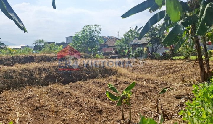 Land Near UIN Maulana Malik Ibrahim Campus 2, Dau Stadium, Batu City