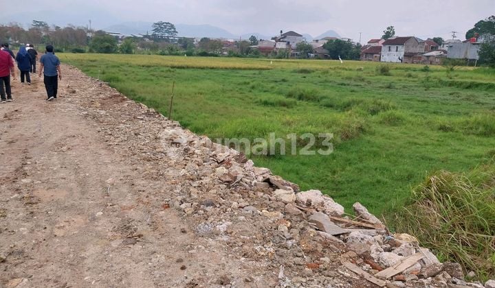 Land for Sale in Warehouse Area
