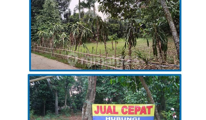 Jual Cepat Tanah Datar Harga Spesial Luas 932 M2 di Gang Lumong, Curug, Gunung Sindur, Bogor.