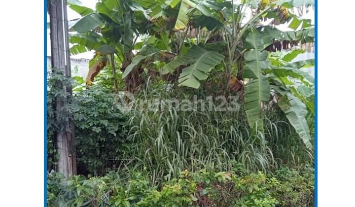 Harga Spesial Dibawah NJOP Luas 179 M2 di Jl. Sejahtera, Rangkapan Jaya Baru, Pancoran Mas, Depok.dibawah