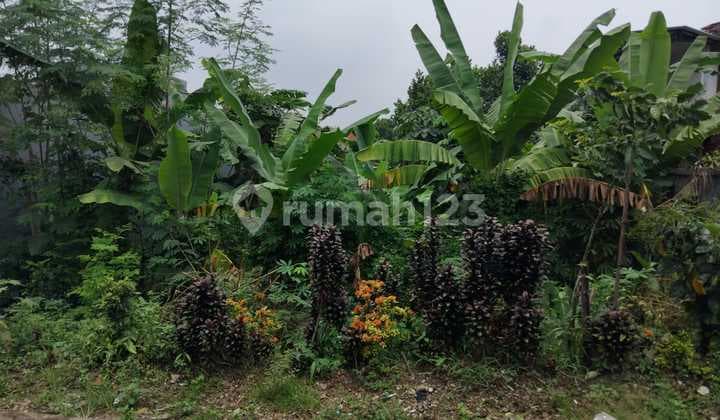 Kavling Luas Pinggir Jalan Harga Nego Sampai Jadi Kota Bogor