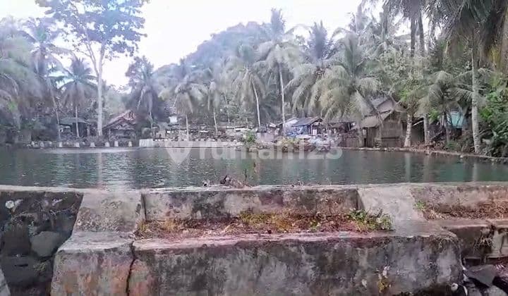 Tanah dan Sawah Serta Kolam Ikan Dekat Pemandian Cirahab Serang