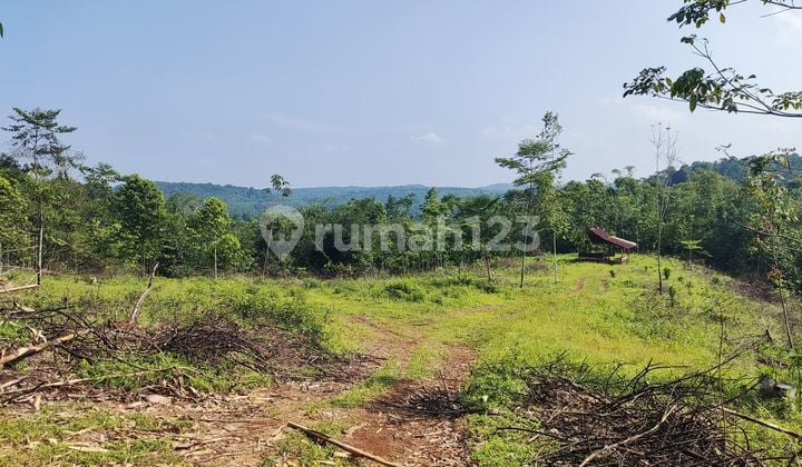 Tn049 Dijual Tanah 2 Hektar di Sajira Cocok untuk Ternak & Kebun