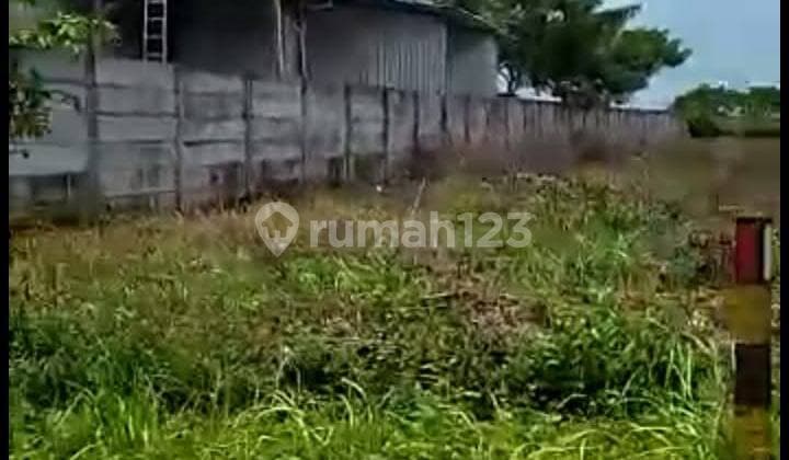 Land in Tuban Jl Nasional 1, Mrutu, Widang District