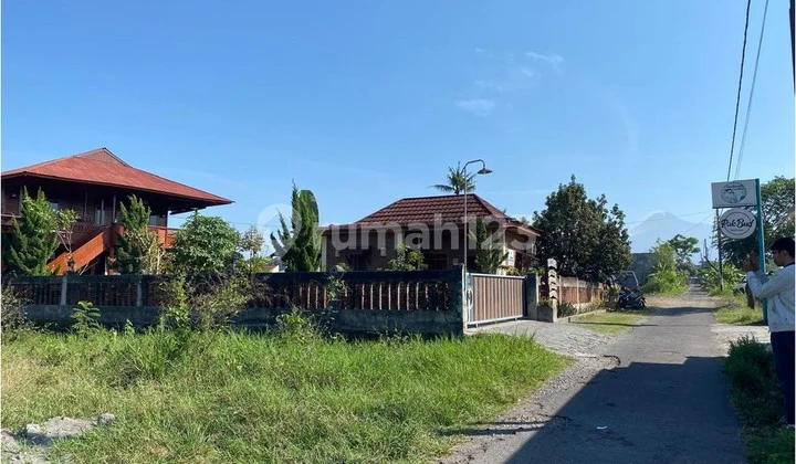 Jl Kaliurang km 8, Suasana Asri