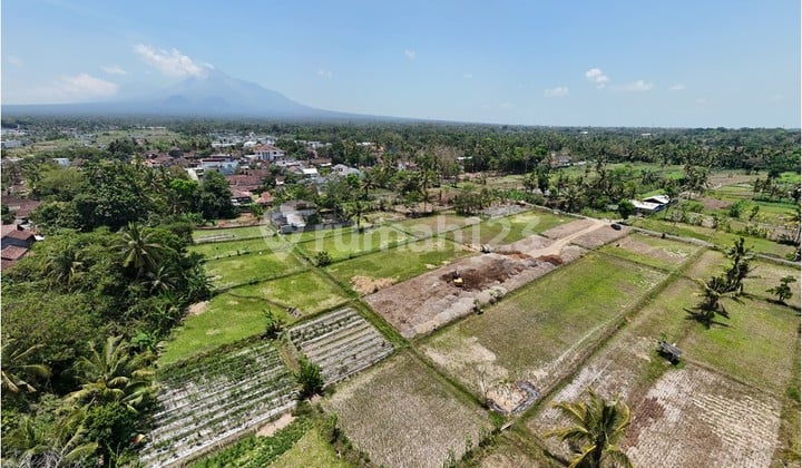 5 Menit UII, Peruntukan Villa, View Sawah