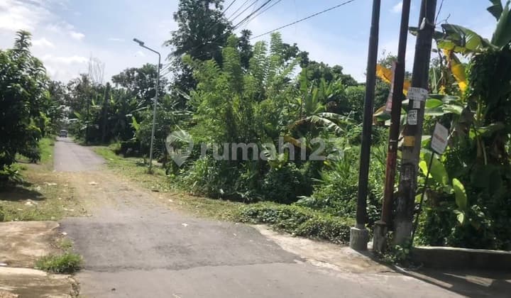 Jl Kaliurang km 10, 500 Meter Ke Pasar Gentan