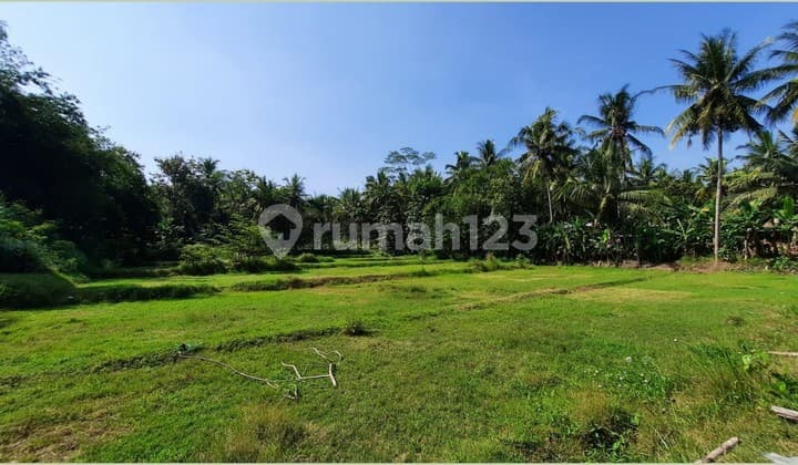 10 menit studio gamplong tanah murah hanya 90 jutaan