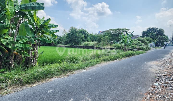 Tanah Dekat Stadion Maguwo – Lokasi Emas untuk Hunian & Usaha!