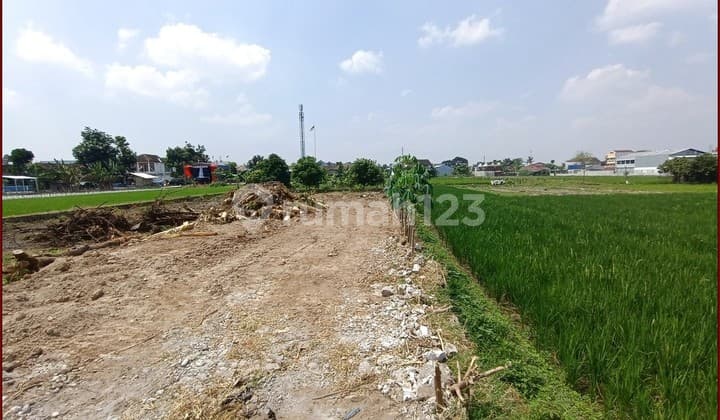 Tanah nogotirto view sawah sejuk,hanya 5 km dari jogja city mall