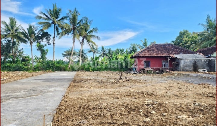tanah asri di kulon progo dijual murah cocok untukinvestasi