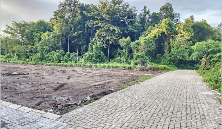 selangkah dari uii jogja,tanah kaliurang cocok untuk bangun kos