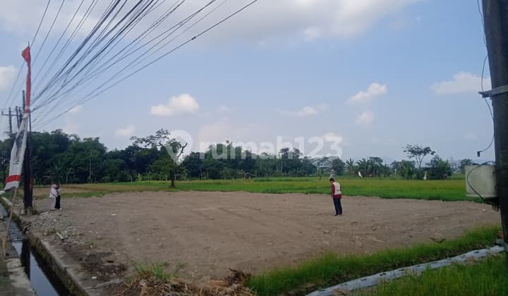 dekat kampus unriyo tanah murah mangku jalan