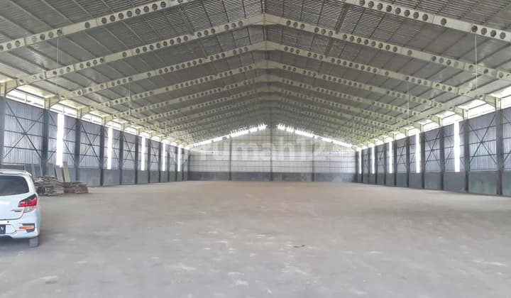 Cheap Warehouse for Rent New Ciujung Area - L/B 2.1 Ha / 7,524 M², 2.5M/Year, Ciujung, Banten