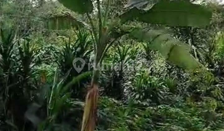 For Sale Cheap Land Intan Road Gn Sindur. Negotiable