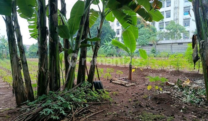Dijual Tanah Jatijajar Dekat Rusun Jati Jajar