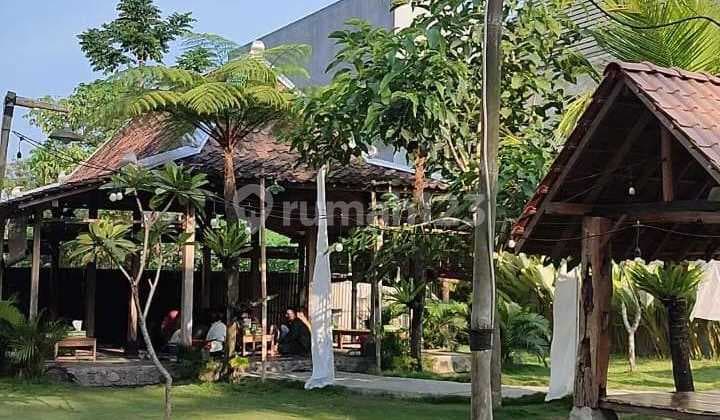 Dijual/ Oper Sewa Usaha Resto Di Condong Catur Lengkap Perabot