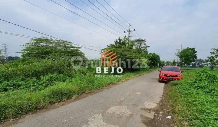 Dijual Tanah Pekarangan Di Godean Akses Jalan Papasan Dijual Tanah Pekarangan Di Godean Akses Jalan Papasan